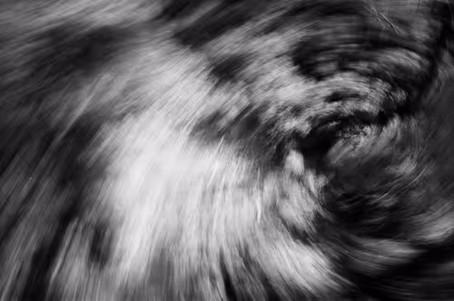 Item #38495668349306452240688866721683925223246116077147746545727998348049931829348 Media