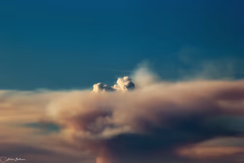 Item #4468298363639779410532789010720251327822800533817543307032898259222521708545 Media