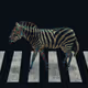 75005755372052158588756275668946508238215154248630693319315921972208989110273