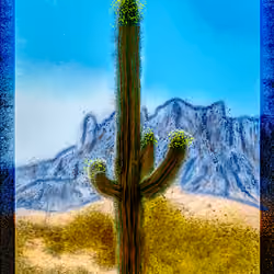 Colors 17 
