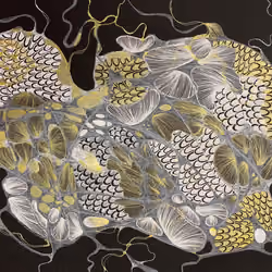 NEUROGRAPHIC 16