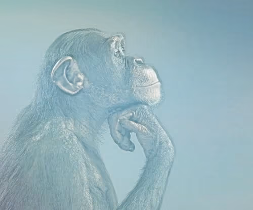 Smart Ape #1