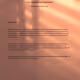 The John McAfee Files