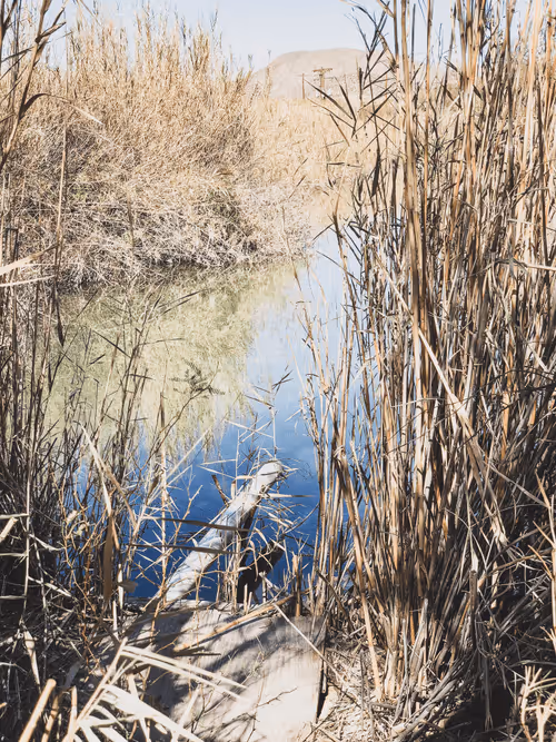 Item #42956466618878321387532578261577756492161920653755194423256676472520146157569 Media