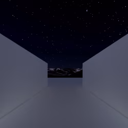 night