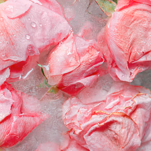 Item #80829721372825377784010953381890255518558028243098186913878117632206664892417 Media