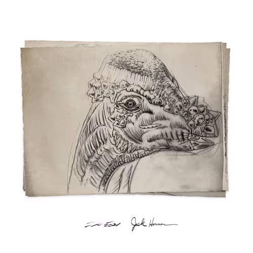 Item #22582927822880265950669941219355019494534003366966592492782895241271919509505 Media