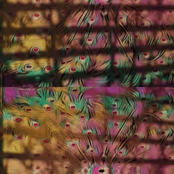 PEACOCK REVOLUTION #4