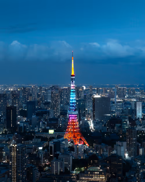 Item #81365922554281880143414136761733390581567018146899571572498285342240945471489 Media