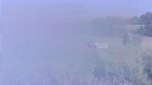 Item #105089968166921690156624725616502706642431777719922472152070405771140802805761 Media