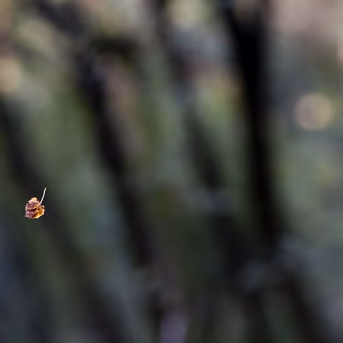 44024487065254451978341284796523308956461514990321328857199441189305275383809