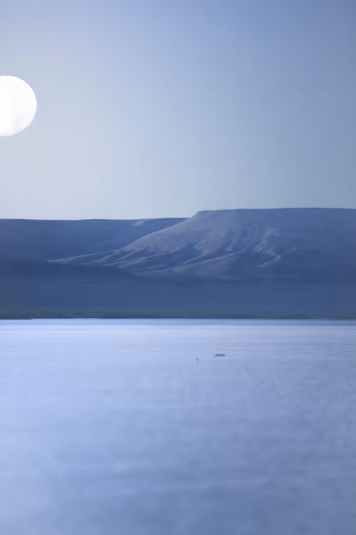 Item #39071023685345521589531013450918722216572370939070752972983331702599923531777 Media