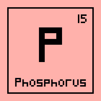 Item #63182339727810101780911750234600495997074472530679366102339935313252564598785 Media