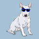 DiggetyDog.029-Bull Terrier