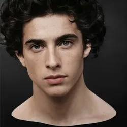Timothee Chalamet Noggin - POPBLENDER