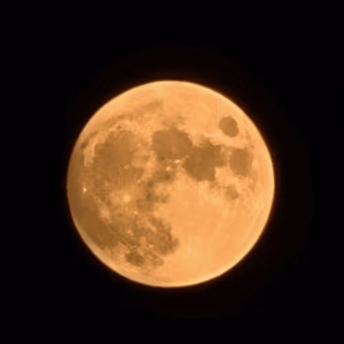 traveler999nft Collection