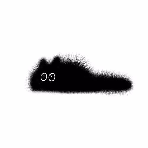 Blackcatcollection