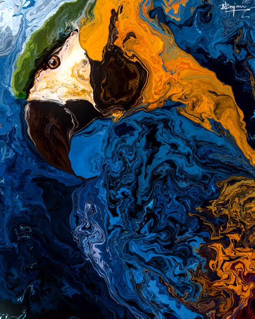 Item #60420524710888365794372195619800709470770054847816031074319961432485020041217 Media