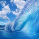 The Ocean is Art