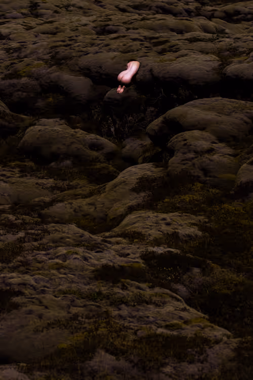 Item #83332782865168099246111470793904216784049773190563389119764666153106654887937 Media