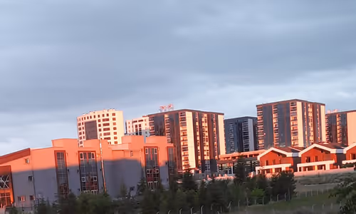 Item #35348999327019443030913192259319975286792404619392834644233222695764122140673 Media