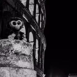 Caeser in Rome