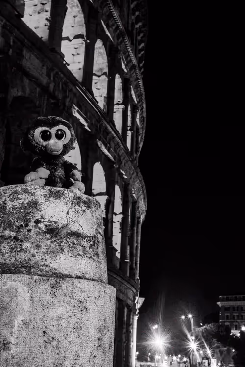 Item #78523124948883737191824425685370443041181342440538518293301156656969527853057 Media