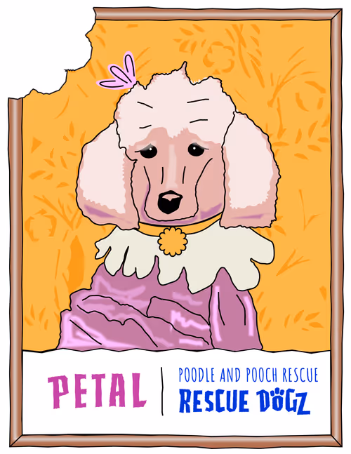 Item #30690731946652718087334591486962028713730520455891869769803774231770487062529 Media