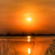 62855892332721635129894948050049808271494874741874057428260451432337183342593