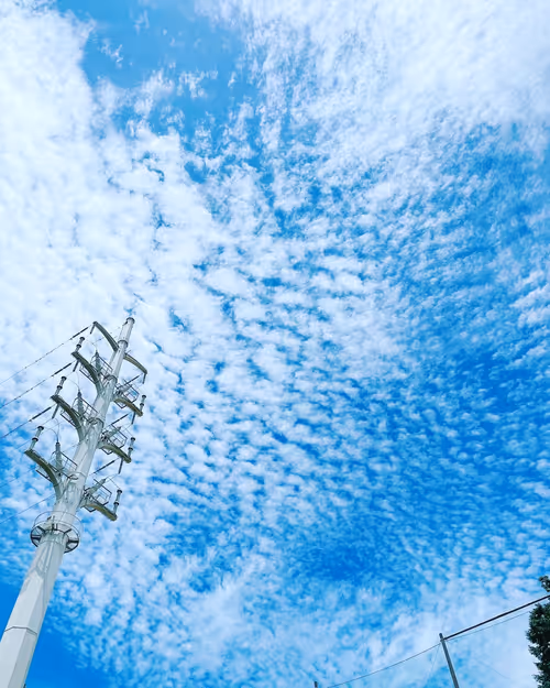 Item #2703142306123291722178089675917082041881281885356297145373661605207685988353 Media