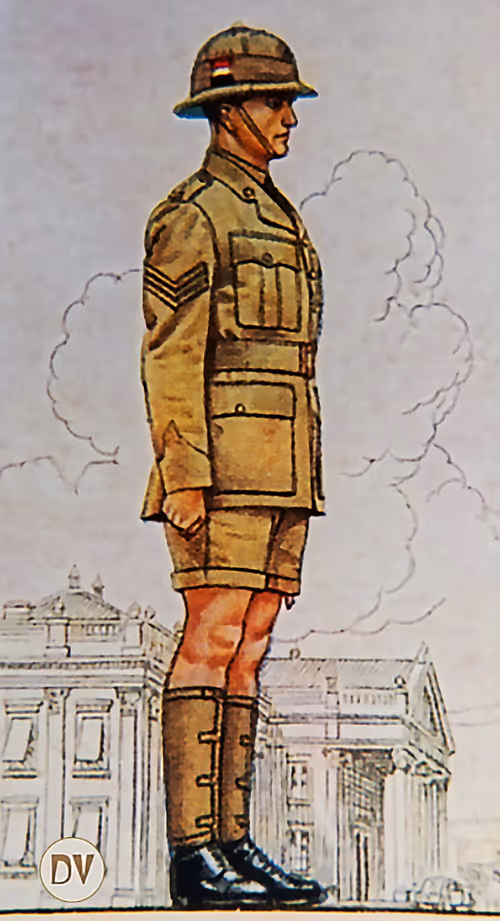 Item #38724113203364670127101612231347610903288392580403585451394279584340885110834 Media