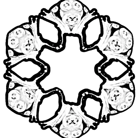 Item #31504810074544391759097526868934907454712974956869218626323321059644926853123 Media