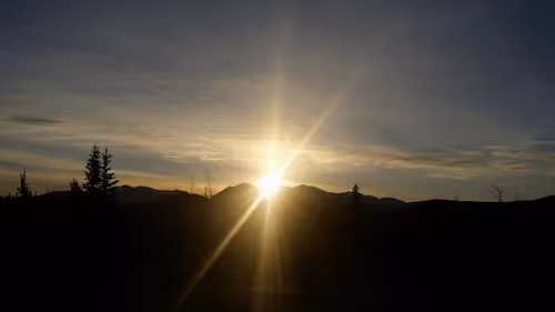 crypto--creep Collection - old