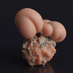 87858548873057691610145785827924316116903784724900626045837508990412076875777