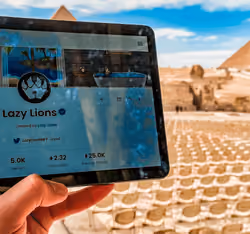 Lazy lions