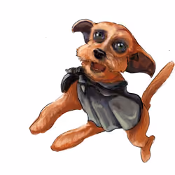 Dobby the Cockapoo