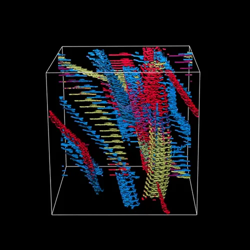 Item #76477907301278796608859036519063341014600640660075023904303767477826351005697 Media