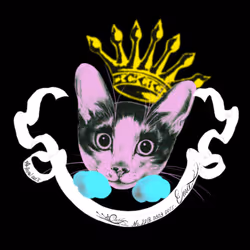 22126065719569683991131321902578450543022560504422507385304151376513720123393