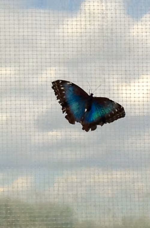 Item #106840752215848522448239535784232260256900731214271757322305935039314228412417 Media