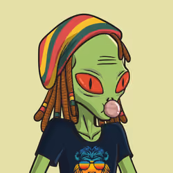 11271