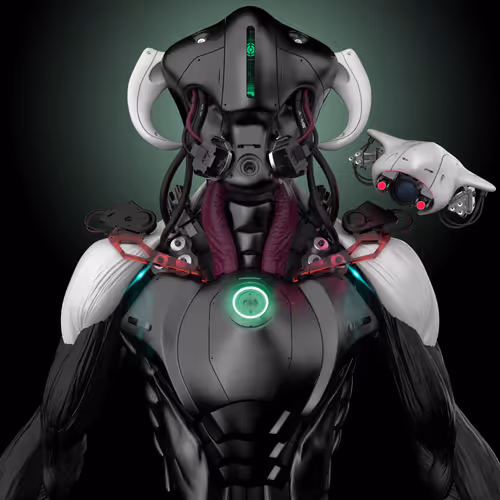 Animus Project 5