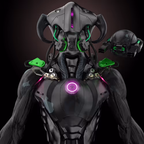 Animus Project 5