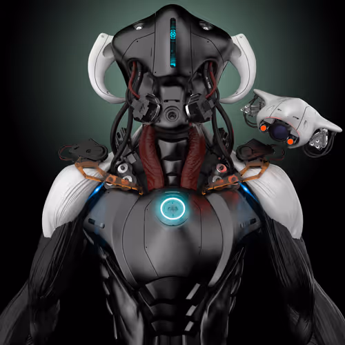 Animus Project 5