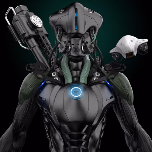 Animus Project 5