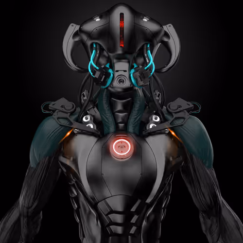 Animus Project 5
