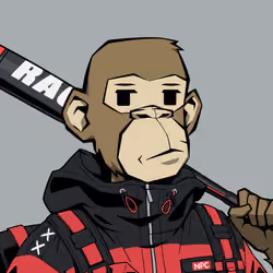 Ronin #5496