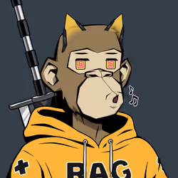 Ronin #6863