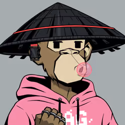 Ronin #6937