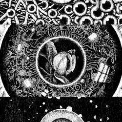 Open Eyes (Flower) - Artist Proof #2/3