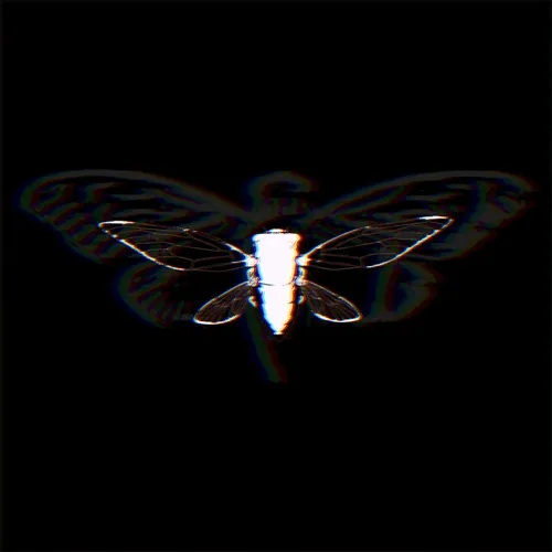 Enigma